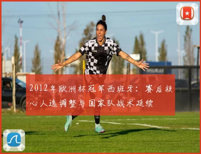 2012年欧洲杯冠军西班牙：赛后核心人选调整与国家队战术延续