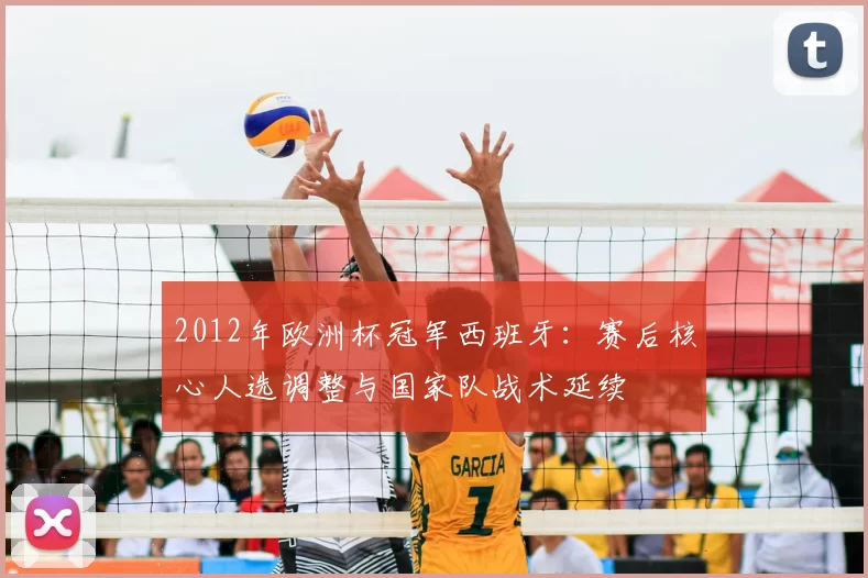 2012年欧洲杯冠军西班牙：赛后核心人选调整与国家队战术延续