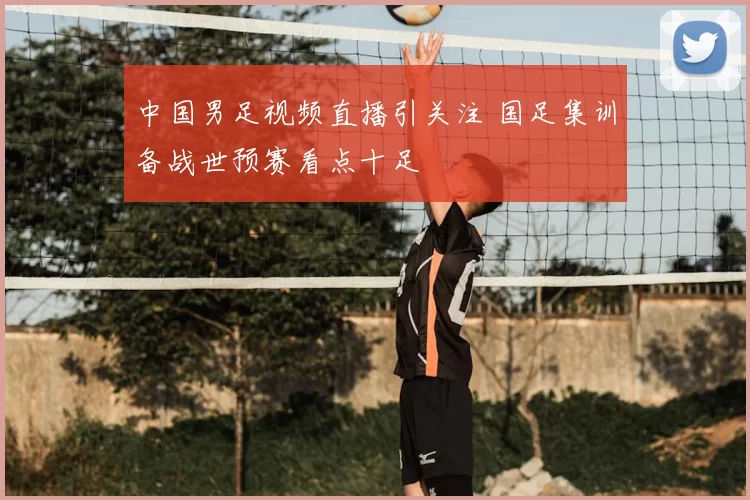 中国男足视频直播引关注 国足集训备战世预赛看点十足