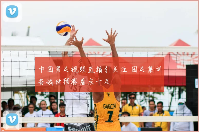 中国男足视频直播引关注 国足集训备战世预赛看点十足