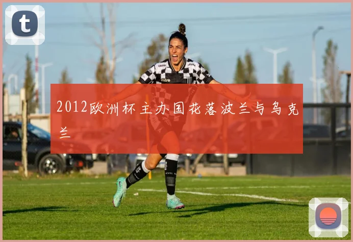 2012欧洲杯主办国花落波兰与乌克兰
