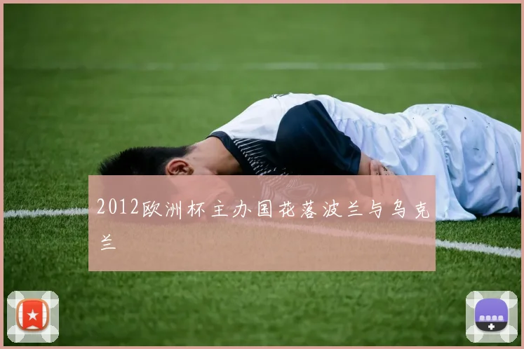 2012欧洲杯主办国花落波兰与乌克兰